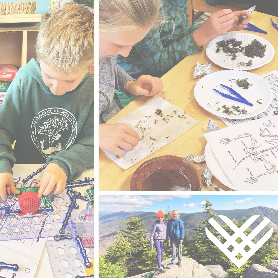 Students at Woodland learn in an environment that encourages curiosity, thoughtful questioning, deep learning, and meaningful connections with the world around them. Through the dedication of our teachers and the support of our community, Woodland pr