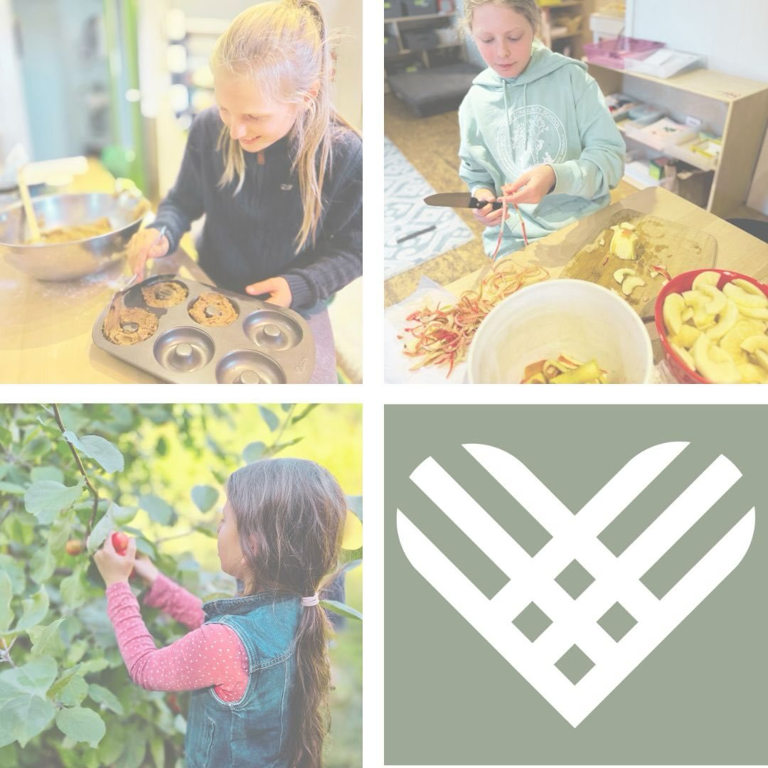 Woodland is a place where students&rsquo; curiosity is celebrated every day. 🌿✨ Our community fosters exploration, respect, creativity, and a genuine love of learning.

This Giving Tuesday, every gift directly supports the programs that help our stu
