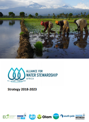 AWS Africa Strategic Plan 2018-2023