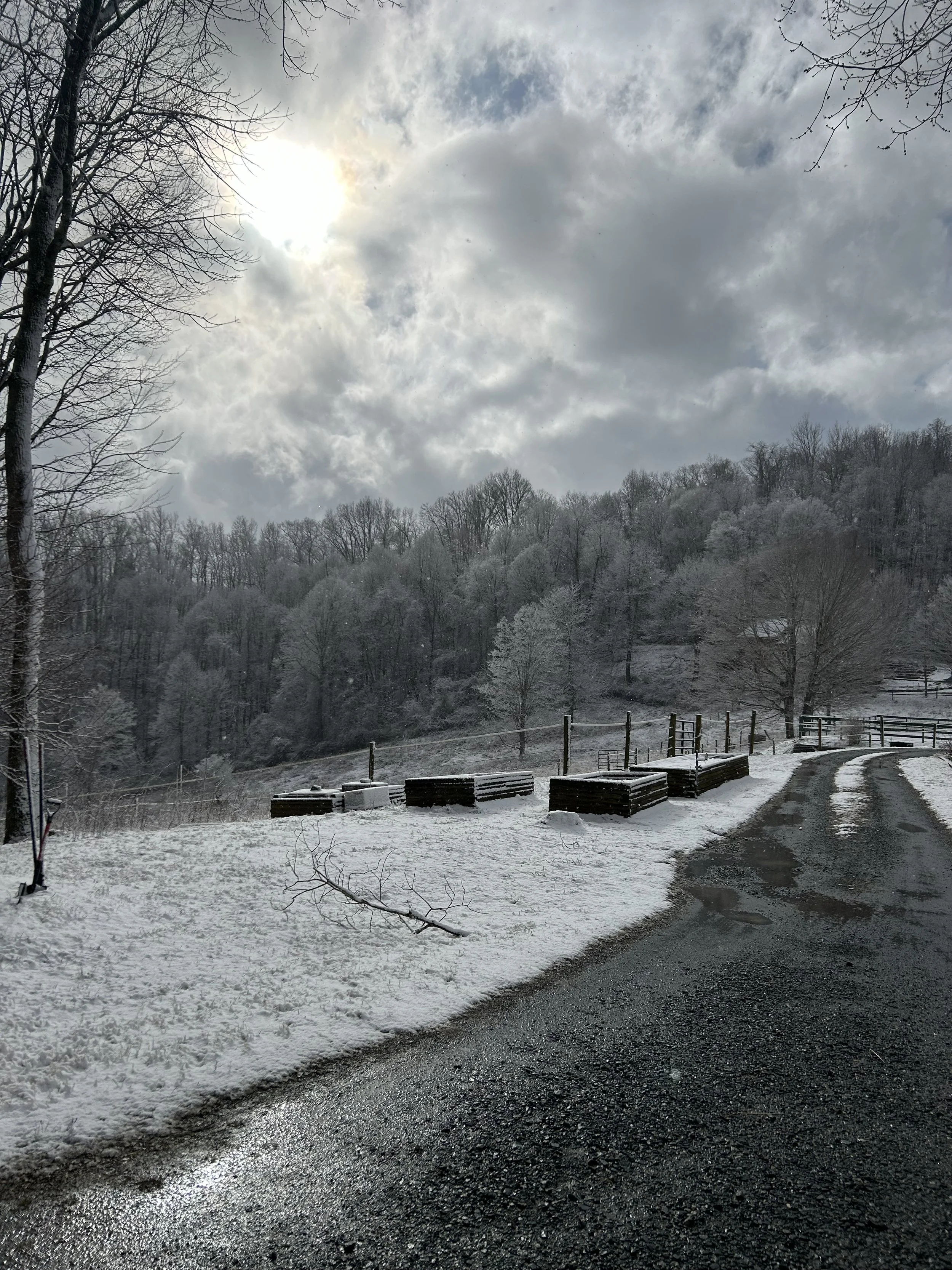 Wintry day on the mountain
