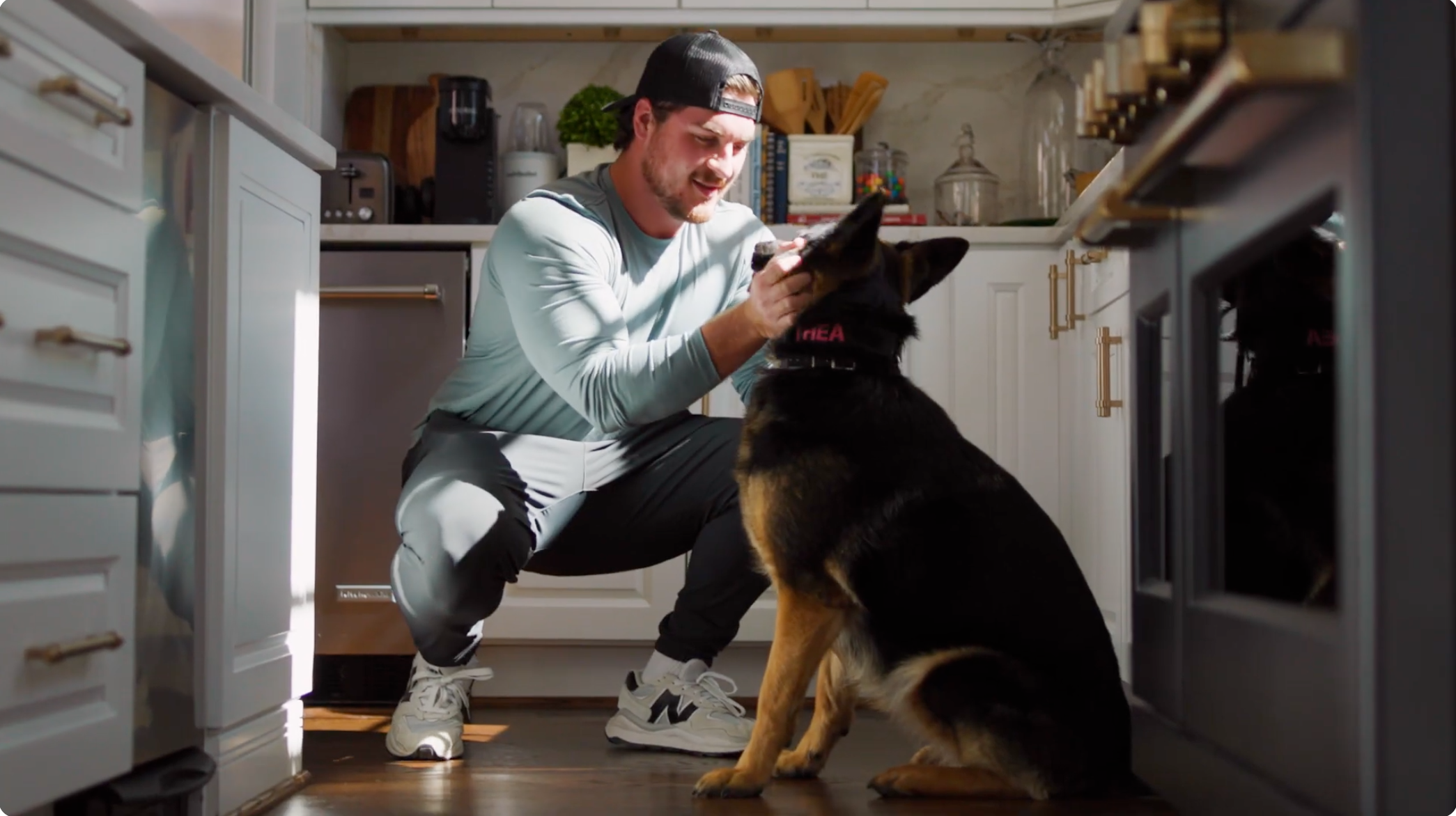 Simple Pets Brand Video--Birmingham corporate video production by Lot 22 Media