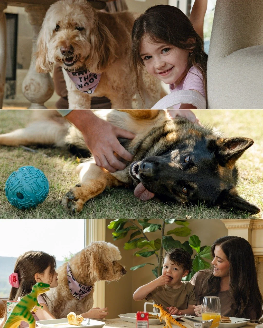 We love seeing our clients launch big! 🐾 

Simple Pets has announced their smart feeder, and it&rsquo;s a truly innovative product. Swipe through to see some of the creative we put together to help bring their brand to life. 

Check them out at @sim