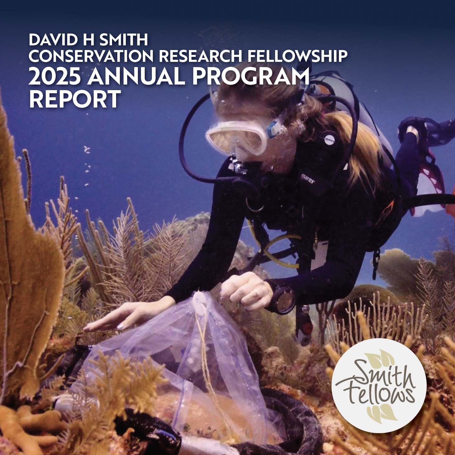 Smith Fellows 2025 Annual Program Report Published