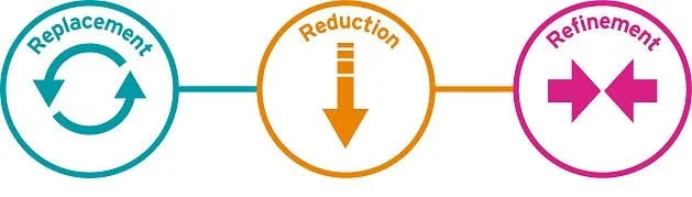 Supporting 3Rs Practice in Insect Science