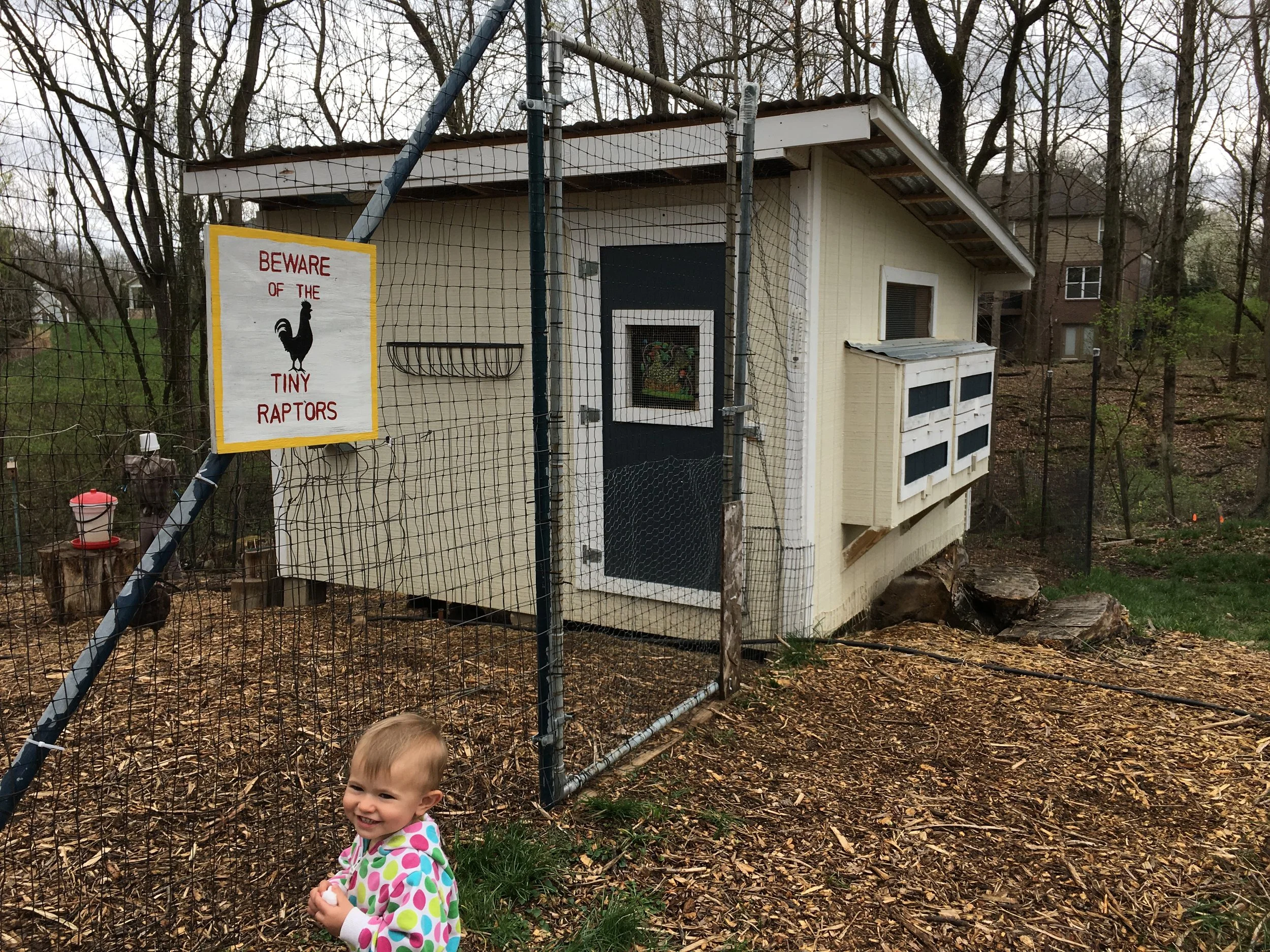 loveland cincinnati ohio building chicken coop construction outdoor shed handyman framing 