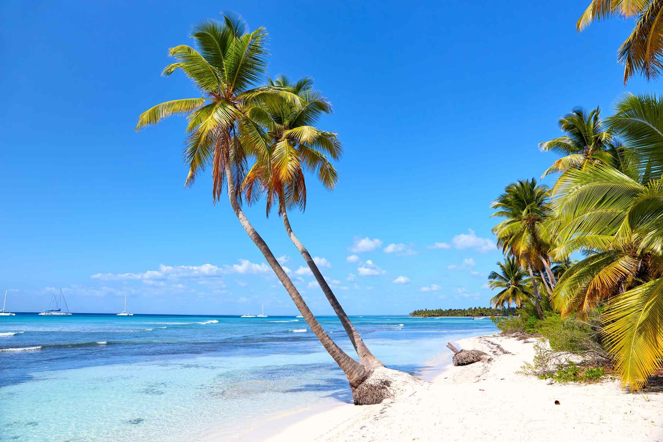 tropical-beach.jpg