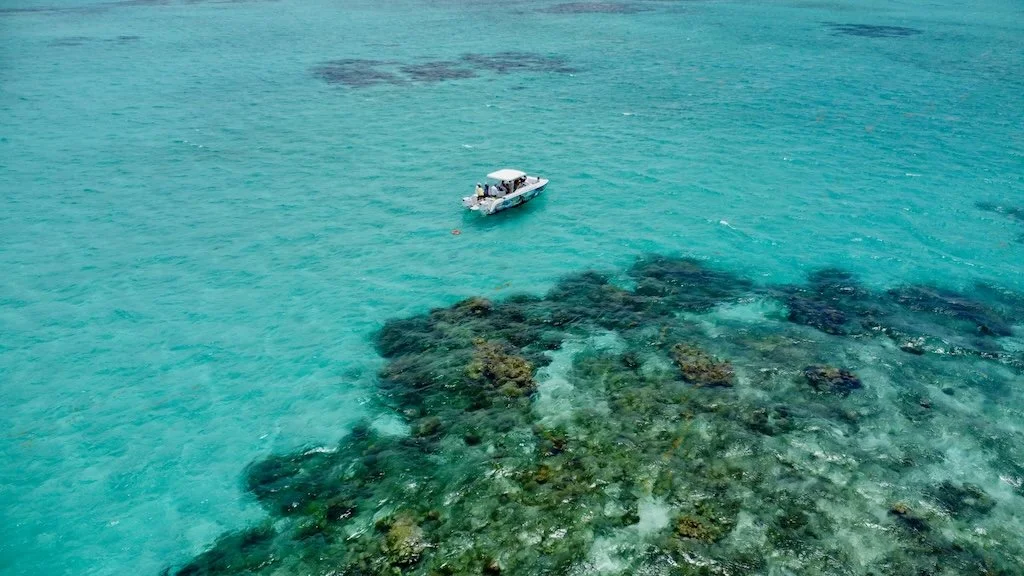 DJI_0213.jpg