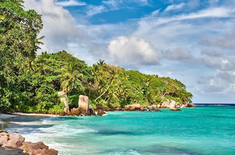 beach-with-palm-tree-and-rocks-landscape-2024-10-11-05-14-23-utc.jpg