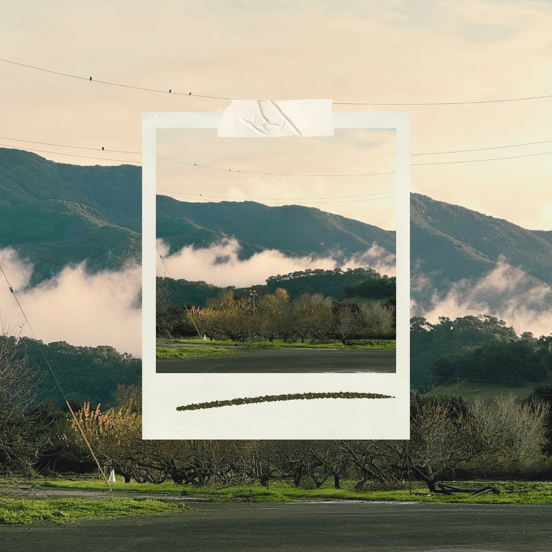 Do you ever allow your mind to wander?