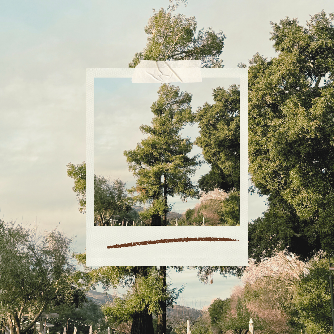 How to Find an ADHD Therapist in Salt Lake City Who Takes Insurance