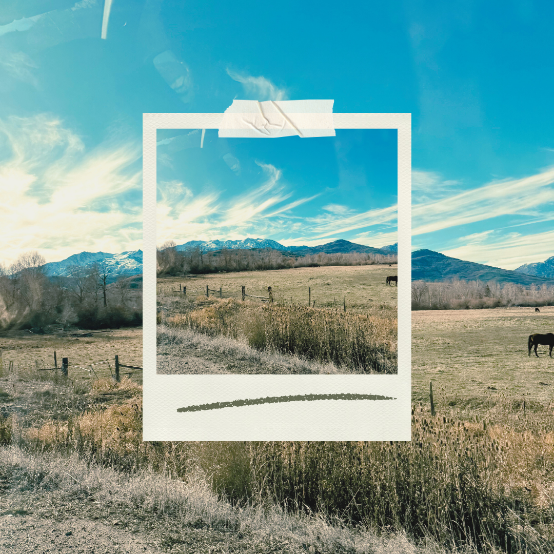 Finding a Therapist in Salt Lake City That Takes Insurance: A Guide for Young Adults Navigating Anxiety + ADHD