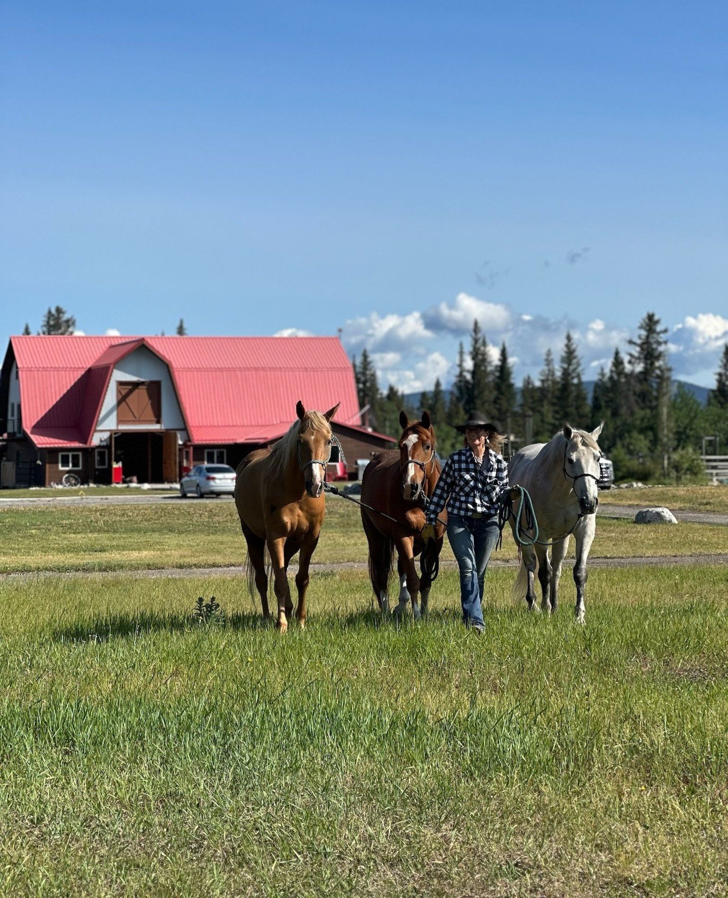 The barn sits at the heart of the ranch, where each day begins and ends. It is where the mornings start and where the horses return after a day of grazing. The barn isn&rsquo;t just a building, it&rsquo;s where the magic of the ranch happens. 🌾 ⁠
⁠
