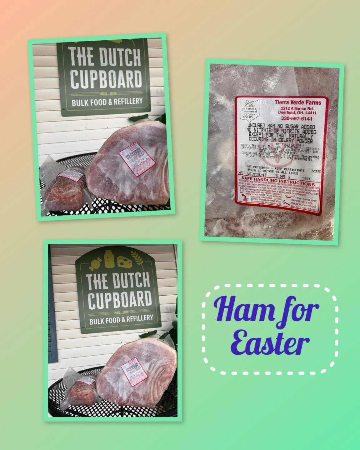 Now at the Dutch Cupboard..
local, Tierra Verde pasture raised Half 
Hams; 11 to 13 pounds.  Smaller boneless hams also available. 
Both are cured with celery cure!  No chemical nitrites or nitrates! 

Boneless hams are $10.50 per pound and bone in h