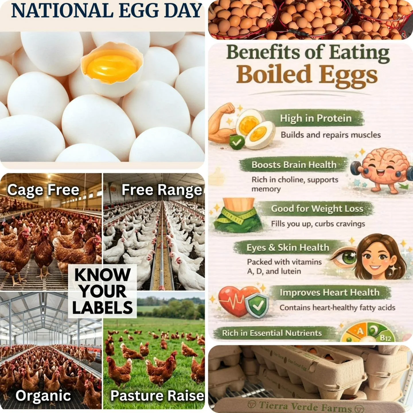 June 3 is National Egg Day!  Know your eggs&hellip;know your farmer!  Enjoy all the health benefits of Tierra Verde pasture raised chickens laying the healthiest eggs available at the Dutch cupboard