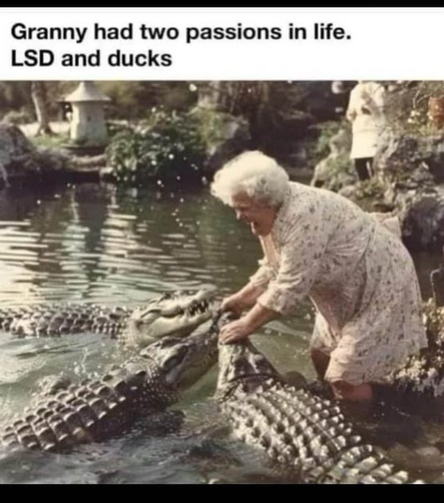 Granny had two passions. LSD and Ducks. LOL