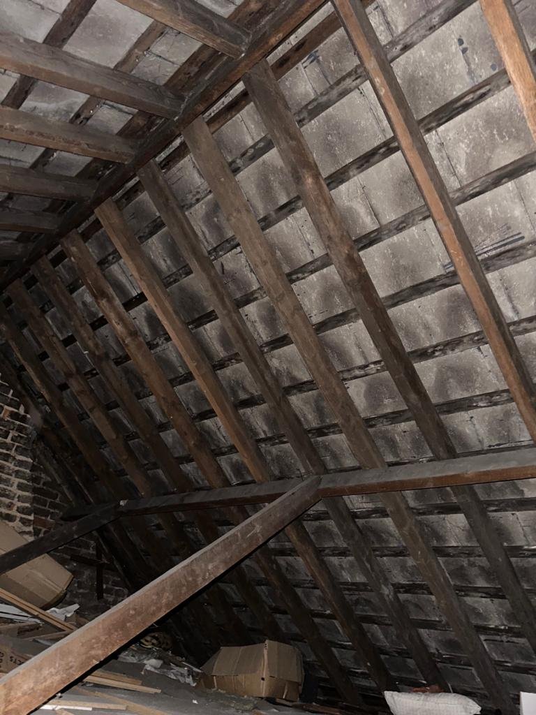 View of timber rafters and the underside of a roof covering