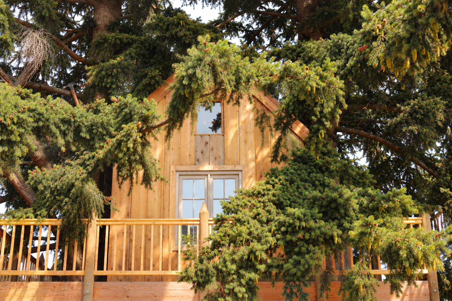 Hidden Evergreen Treehouse Retreat.png