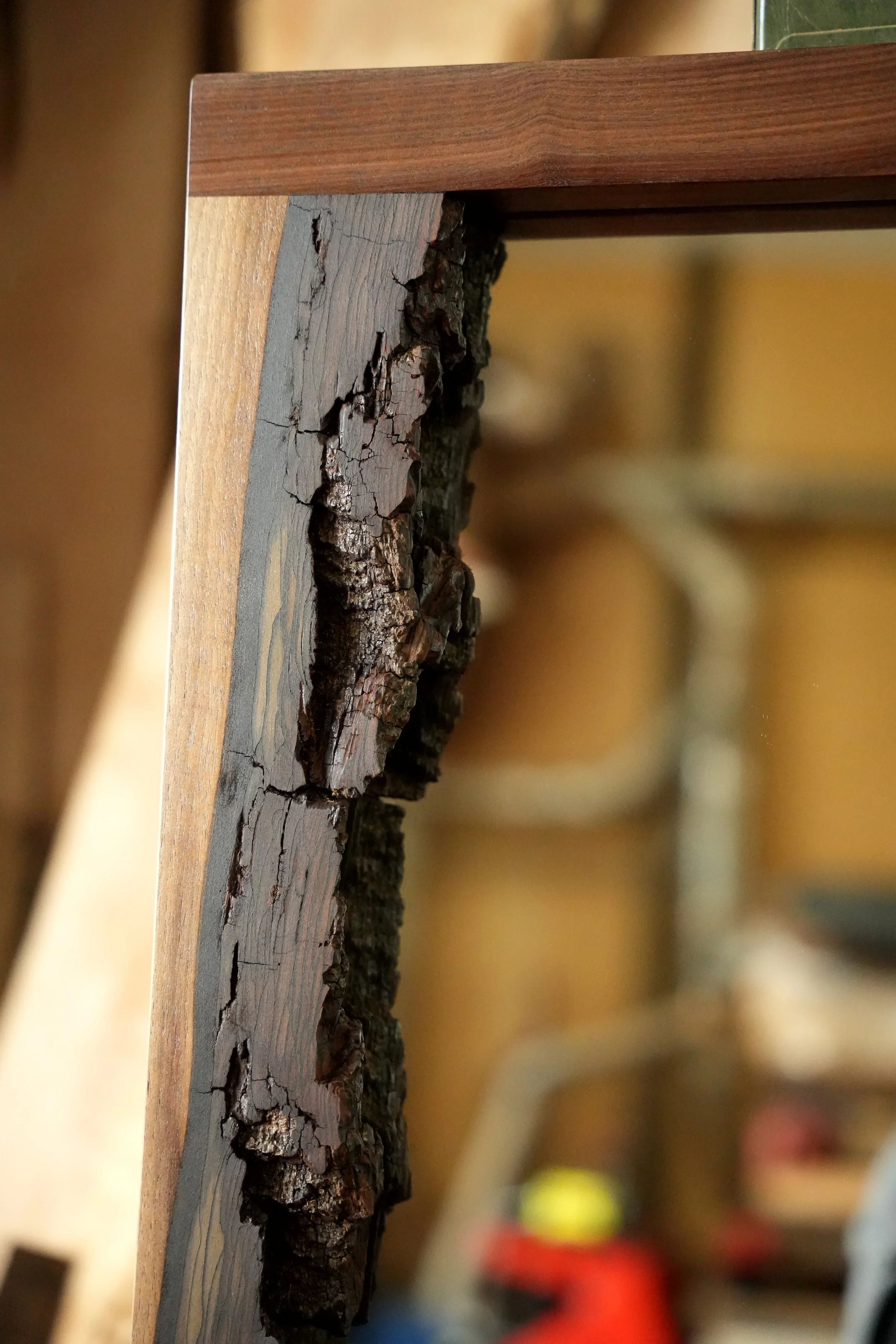 Walnut Bark Edge Mirror
