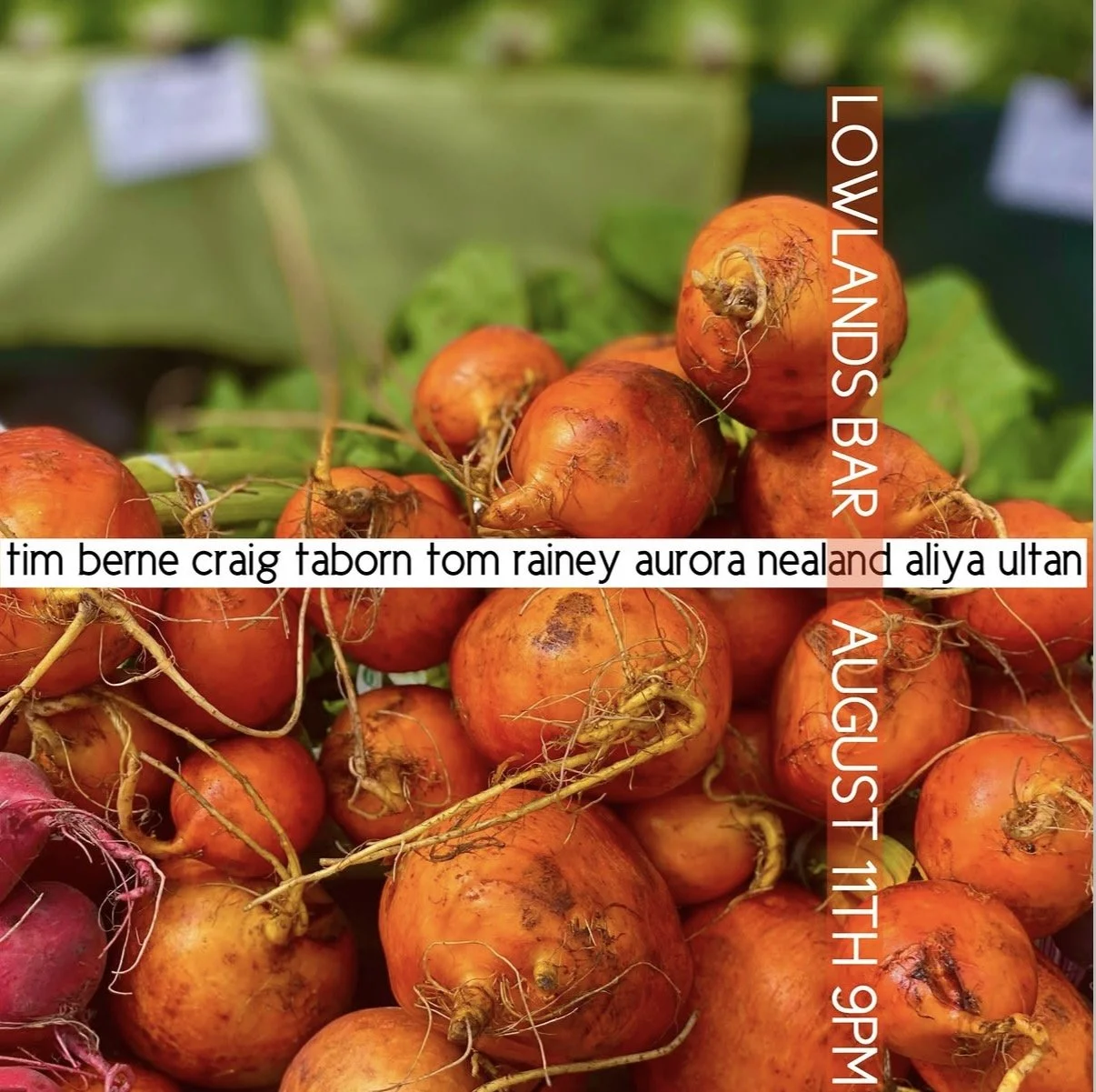 tim berne craig taborn tom rainey aurora nealand aliya ultan
