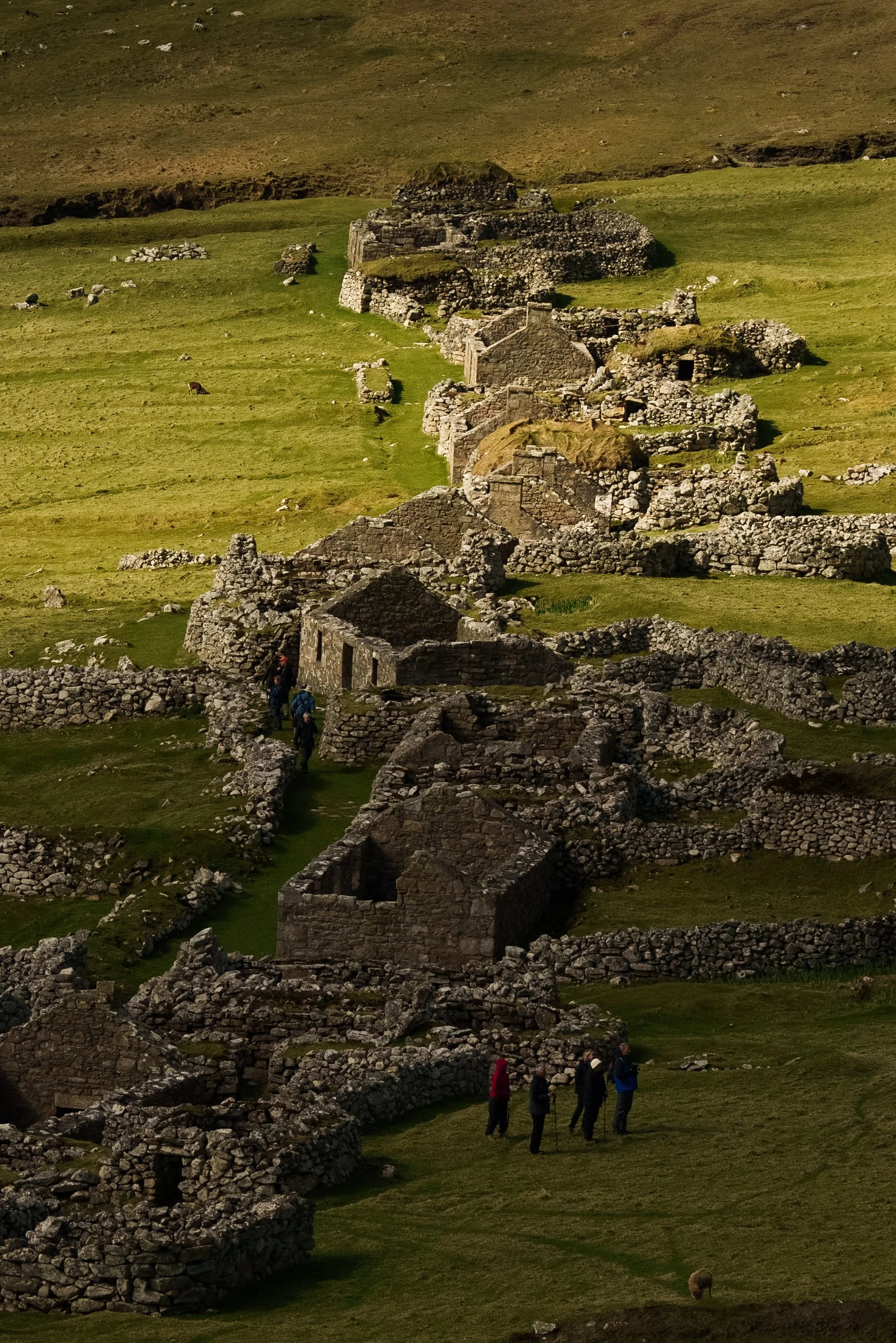 _DSC9130.JPG