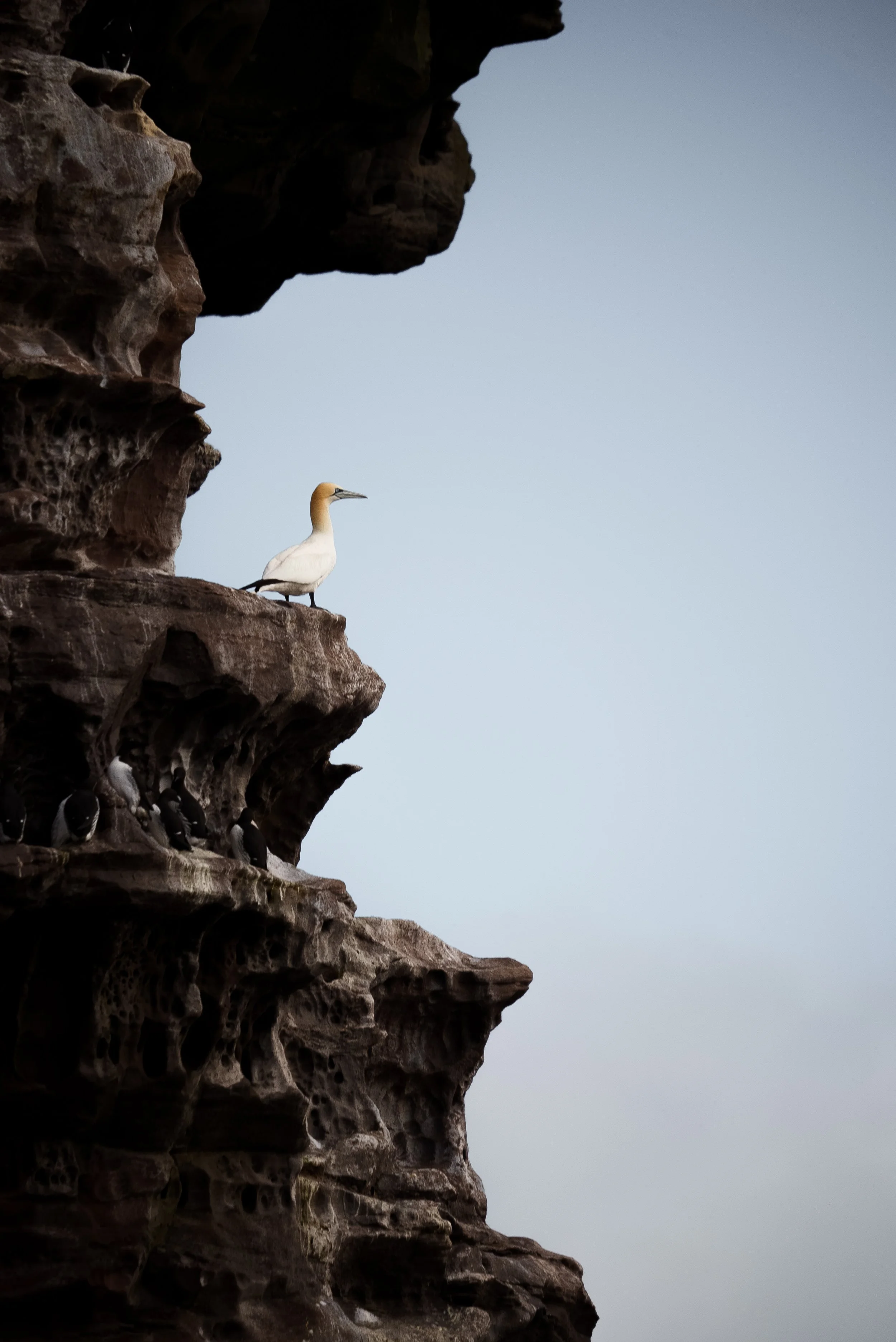 _DSC8384.JPG