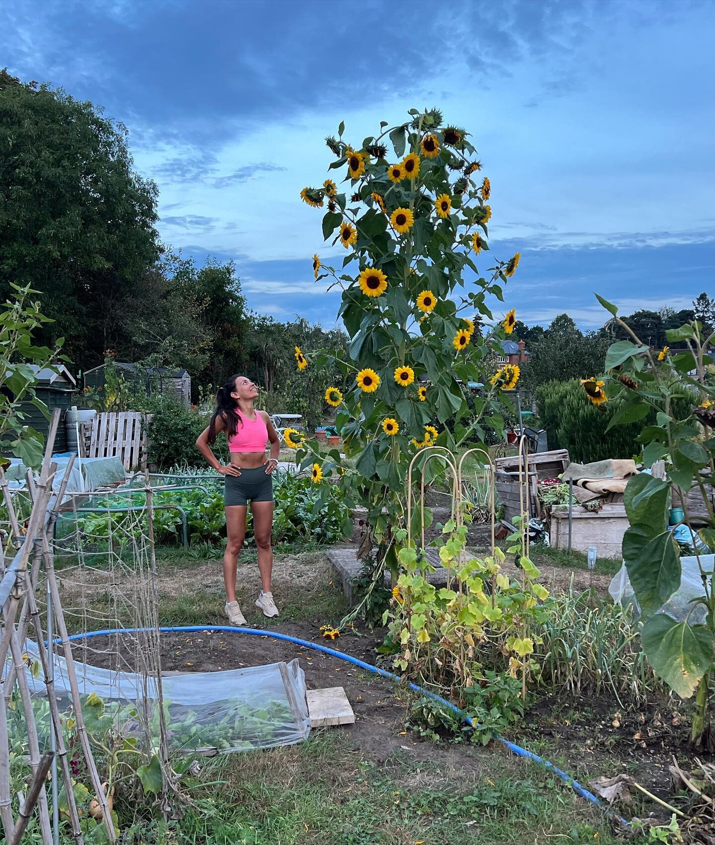 Reflections from our first year on the allotment 🌱✨👇🏽

1. It&rsquo;s hard

2. Despite the endless to do list, it&rsquo;s so good for my mental health. Feeling connected with the earth, the ecosystem, the food chain and nature - it&rsquo;s wonderfu