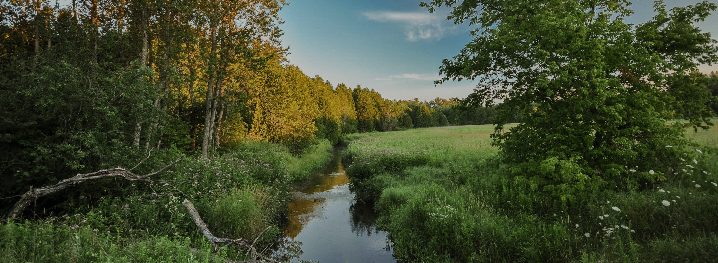 Whitchurch-Stouffville