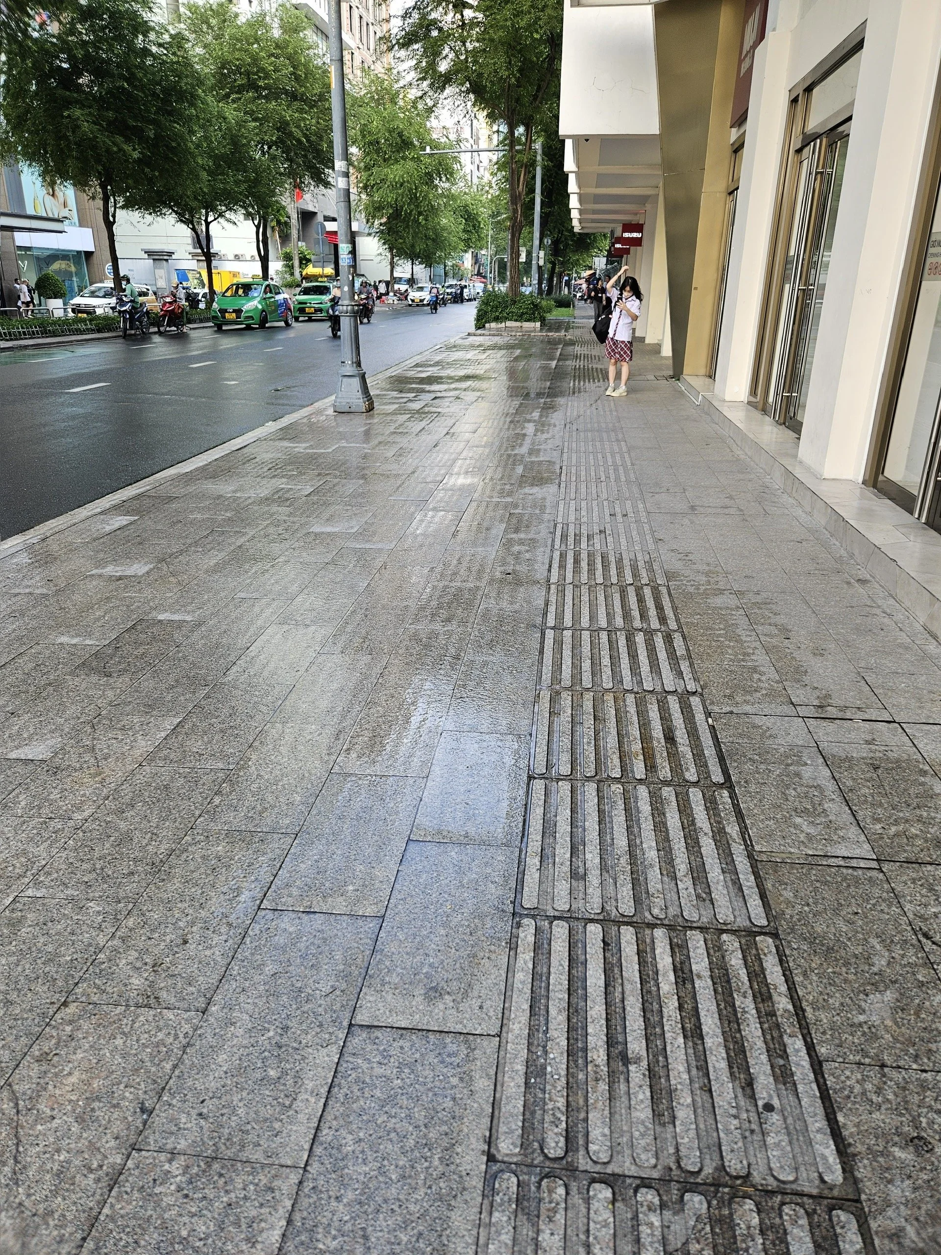 Wet urban sidewalk on a rainy day with people, trees, and traffic