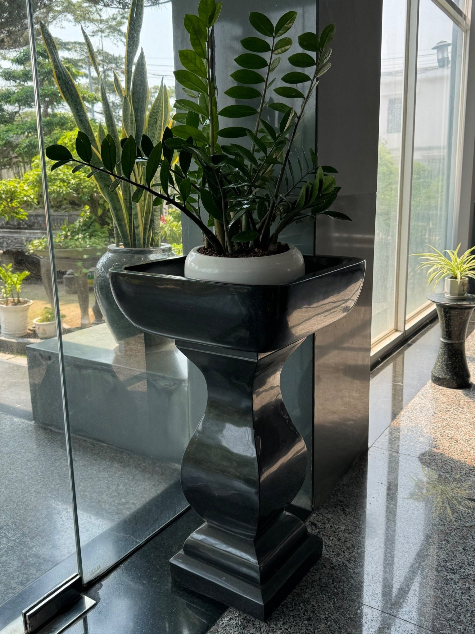 Indoor plant on a sculpted stone pedestal by a glass window