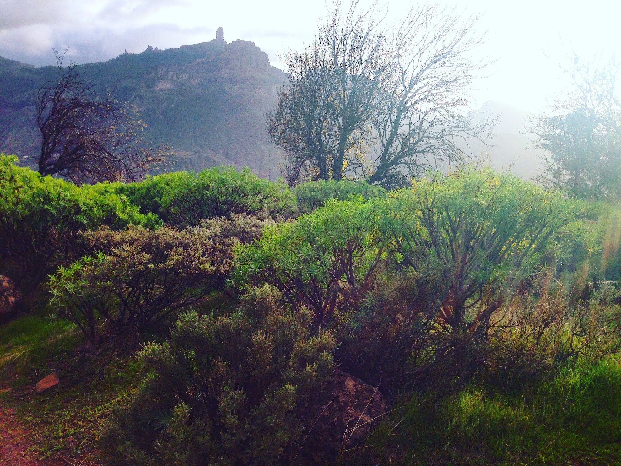 Gran Canaria, Canary Islands