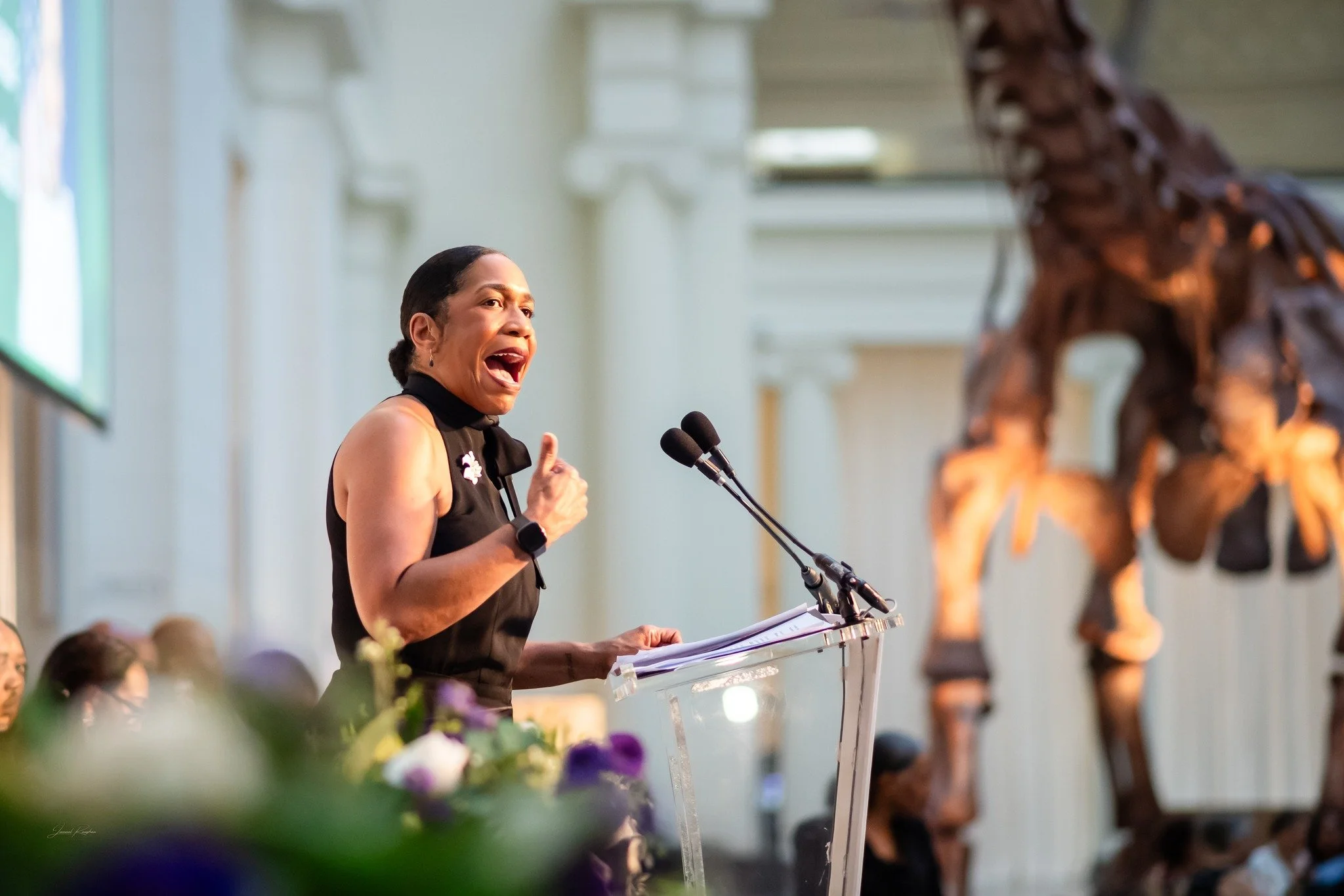 The nation’s oldest association of African-American lawyers and judges in the country. 