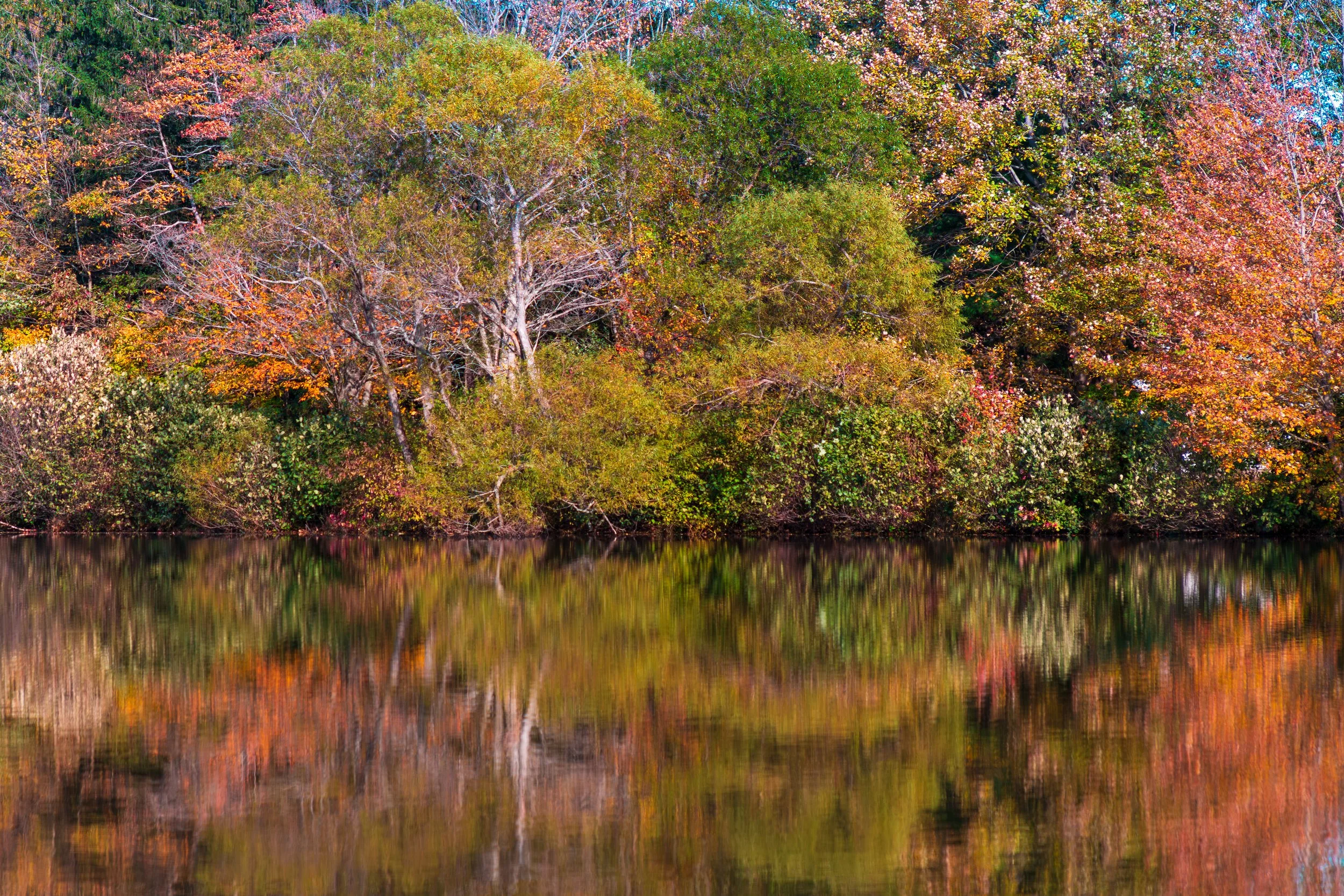NJ Autumn.jpg
