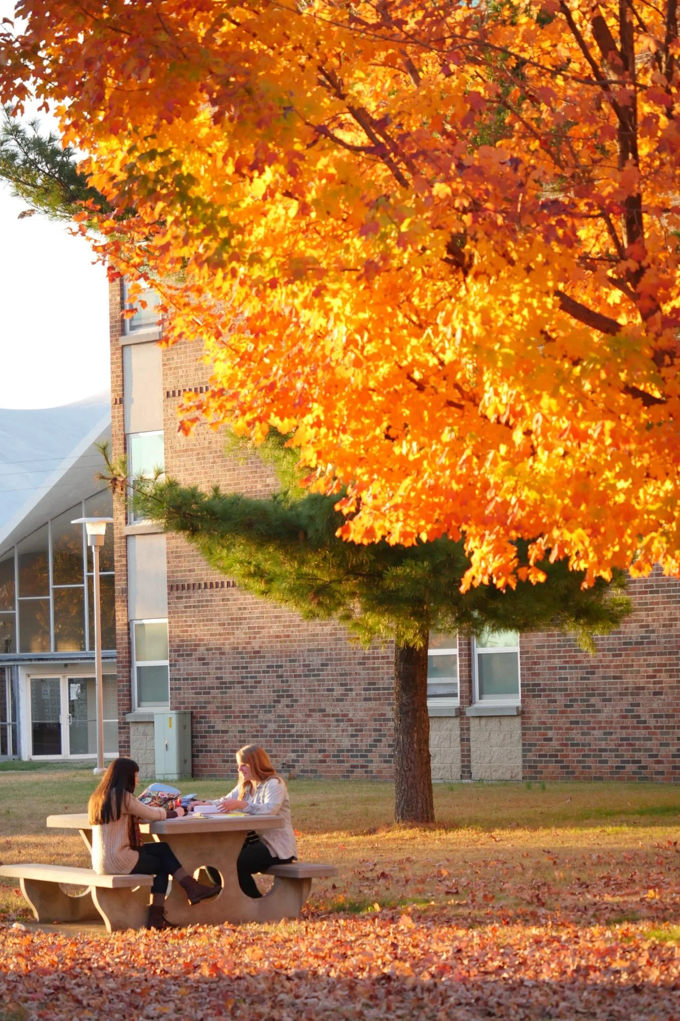 springfield-missouri-photographer-commercial-college075.jpg