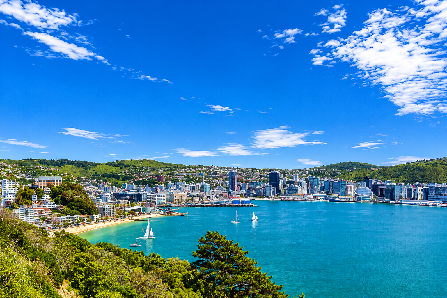 Commercial property advisory and management services in Wellington, New Zealand