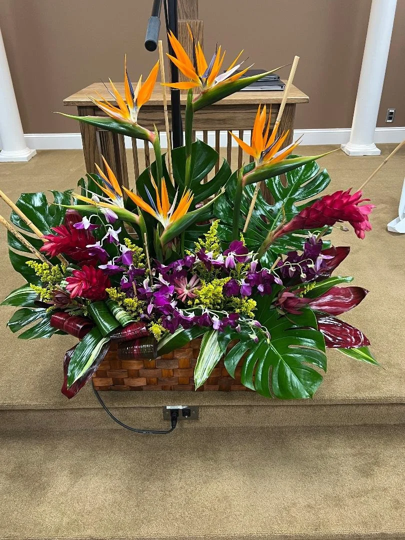 birds of paradise memorial.jpg