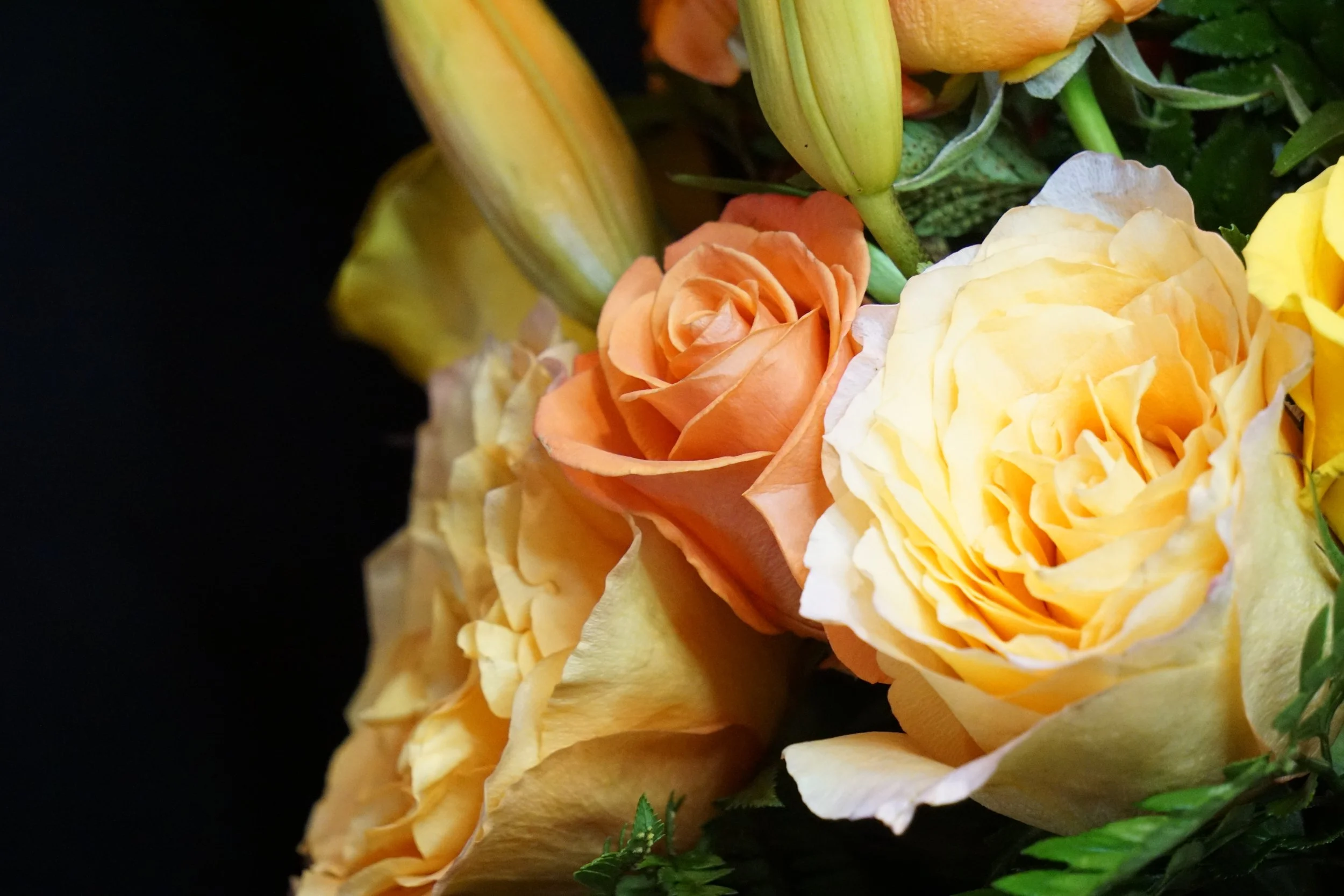 All Occasions — Posh Petals Weddings