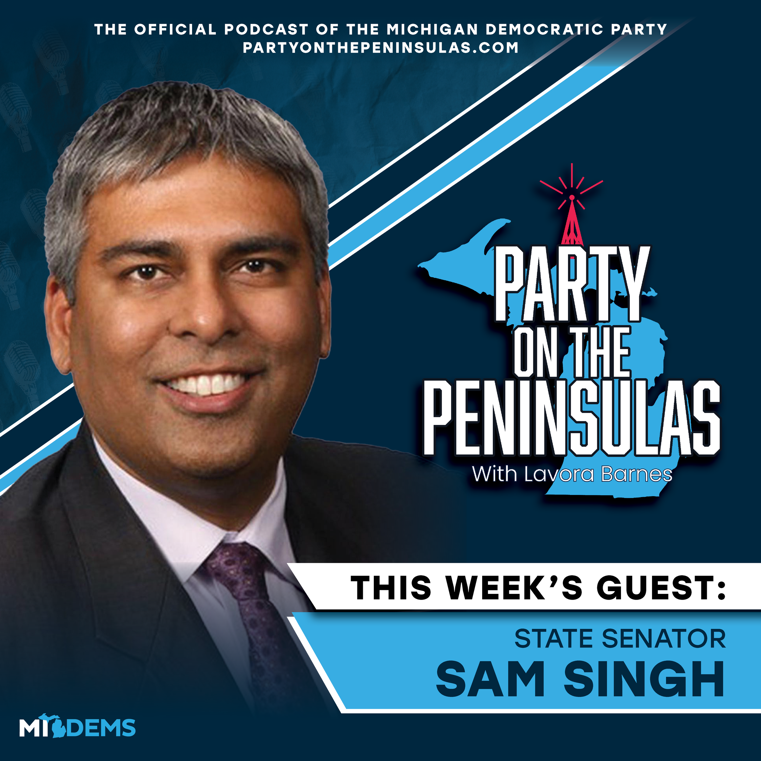 Social media graphics for Party On The Peninsulas, the official podcast of the Michigan Democratic Party.  Sarah DeMercurio is a creative director graphic designer focused on progressive issues and is based in Metro Detroit, Michigan.