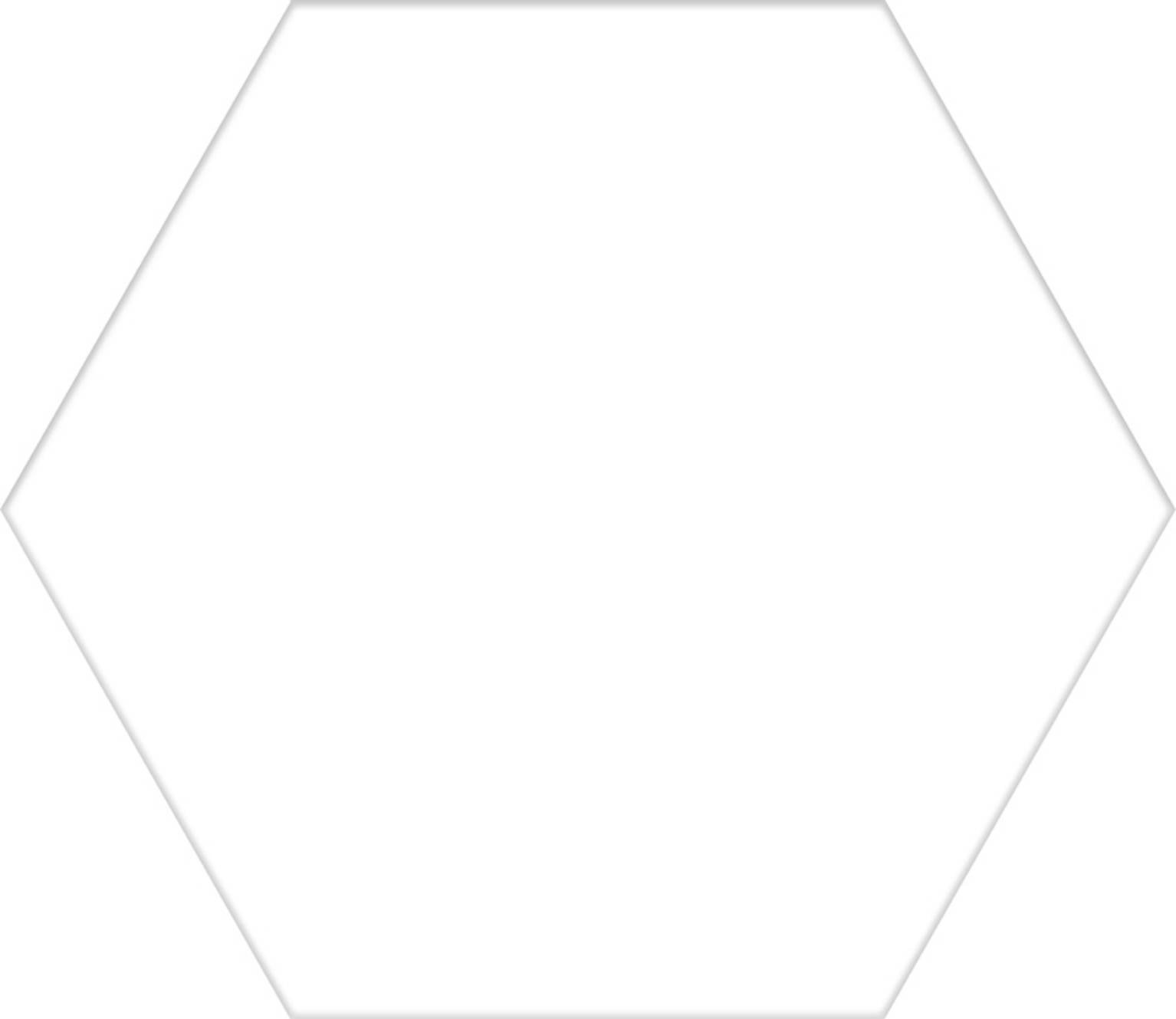 Basic-white-Hex-56-en-hRzEzRmYNIekPltx.jpg