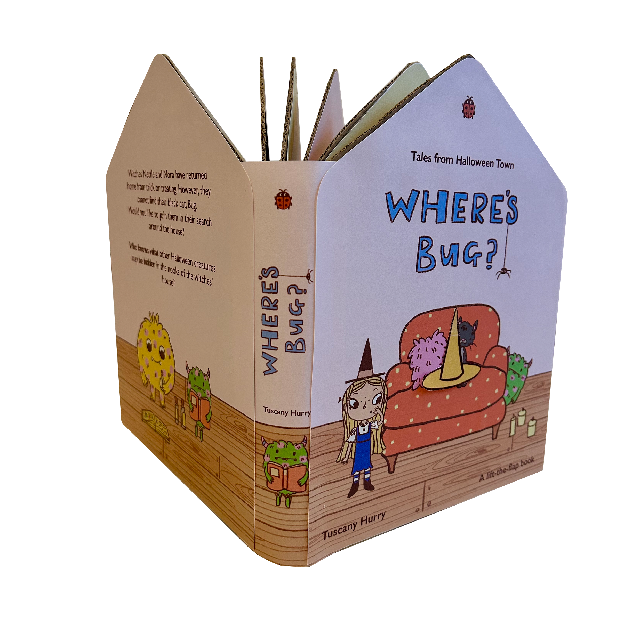Where's Bug? A lift-the-flap book