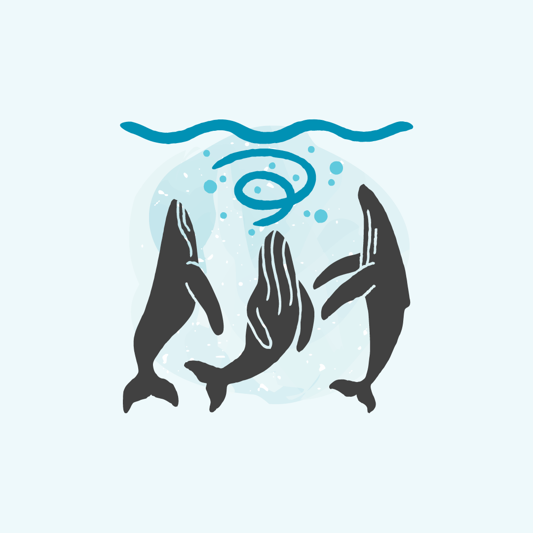 An icon design of three grey humpback whales swimming vertically to the water surface, swirling the blue water as they go. The icon is on a light blue background.
