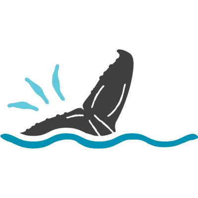 Illustration of a grey humpback whale tail flicking at the surface of the water