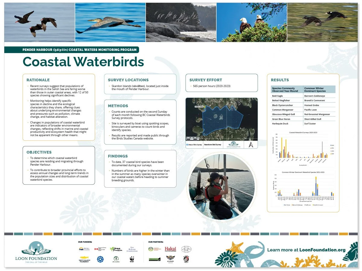 A rectangular symposium sign about coastal waterbirds, featuring species photos along the top, research content in the middle, and sponsors and branded marine life illustrations along the bottom.