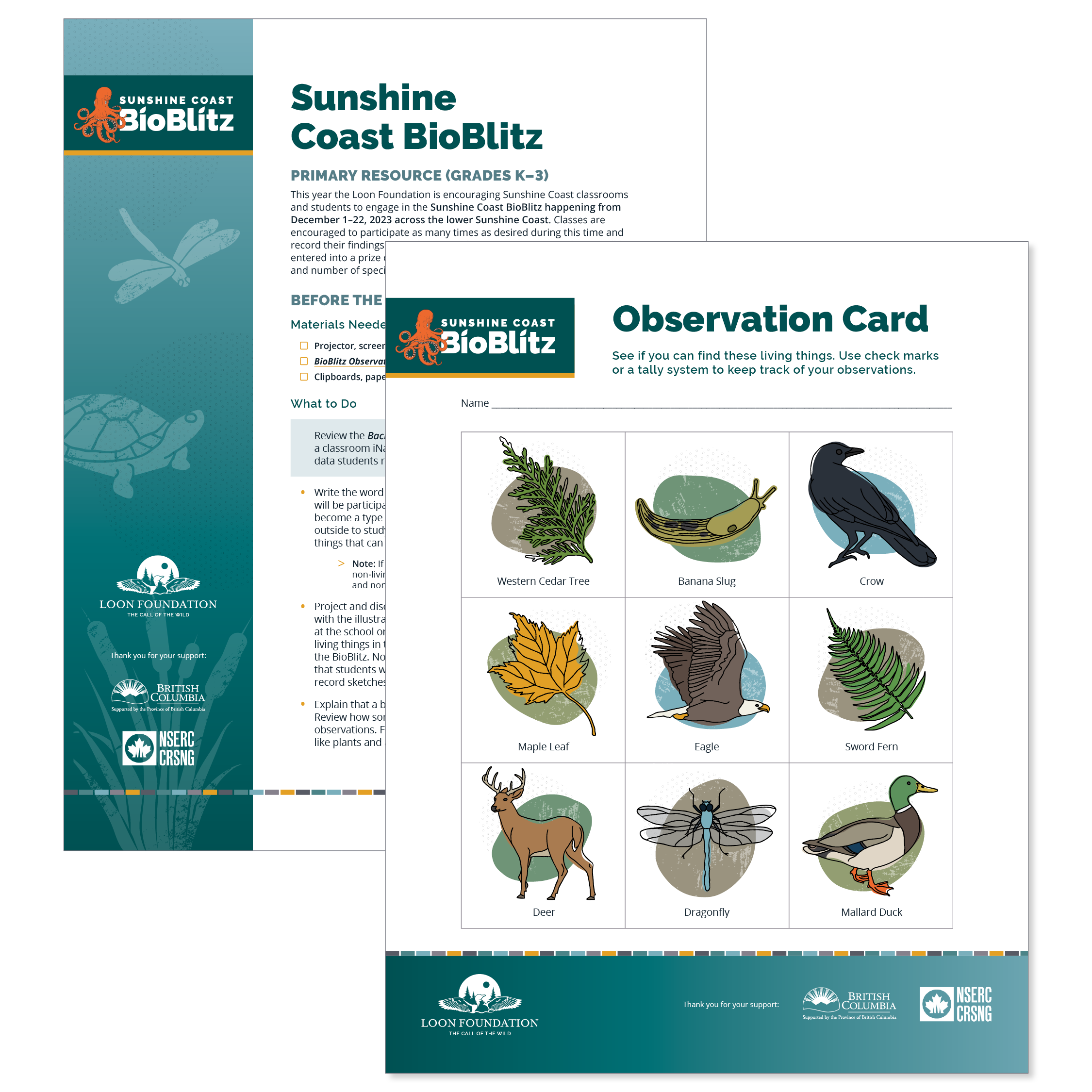 o	Sample pages from the BioBlitz Educational Package, including nature and wildlife illustrations and branded text layout.