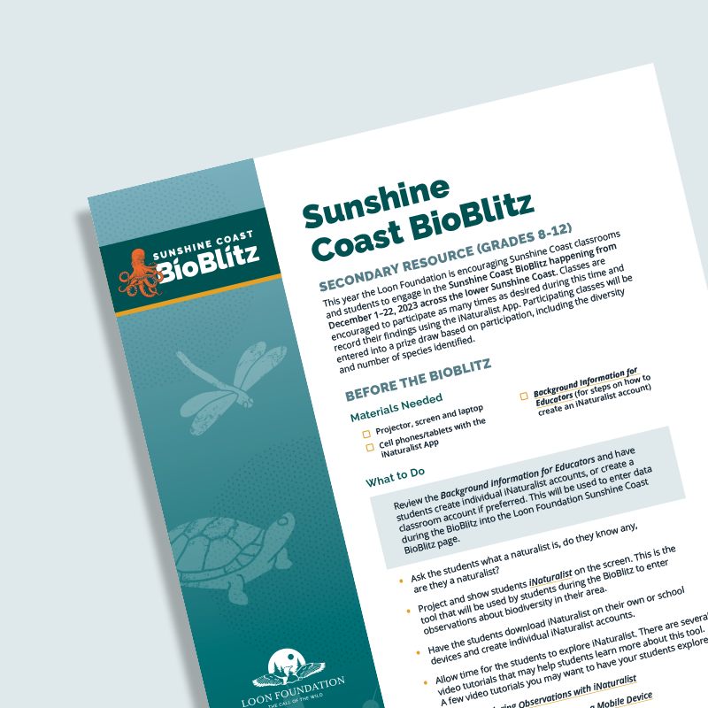 Sample designed layout document, featuring Sunshine Coast BioBlitz branding