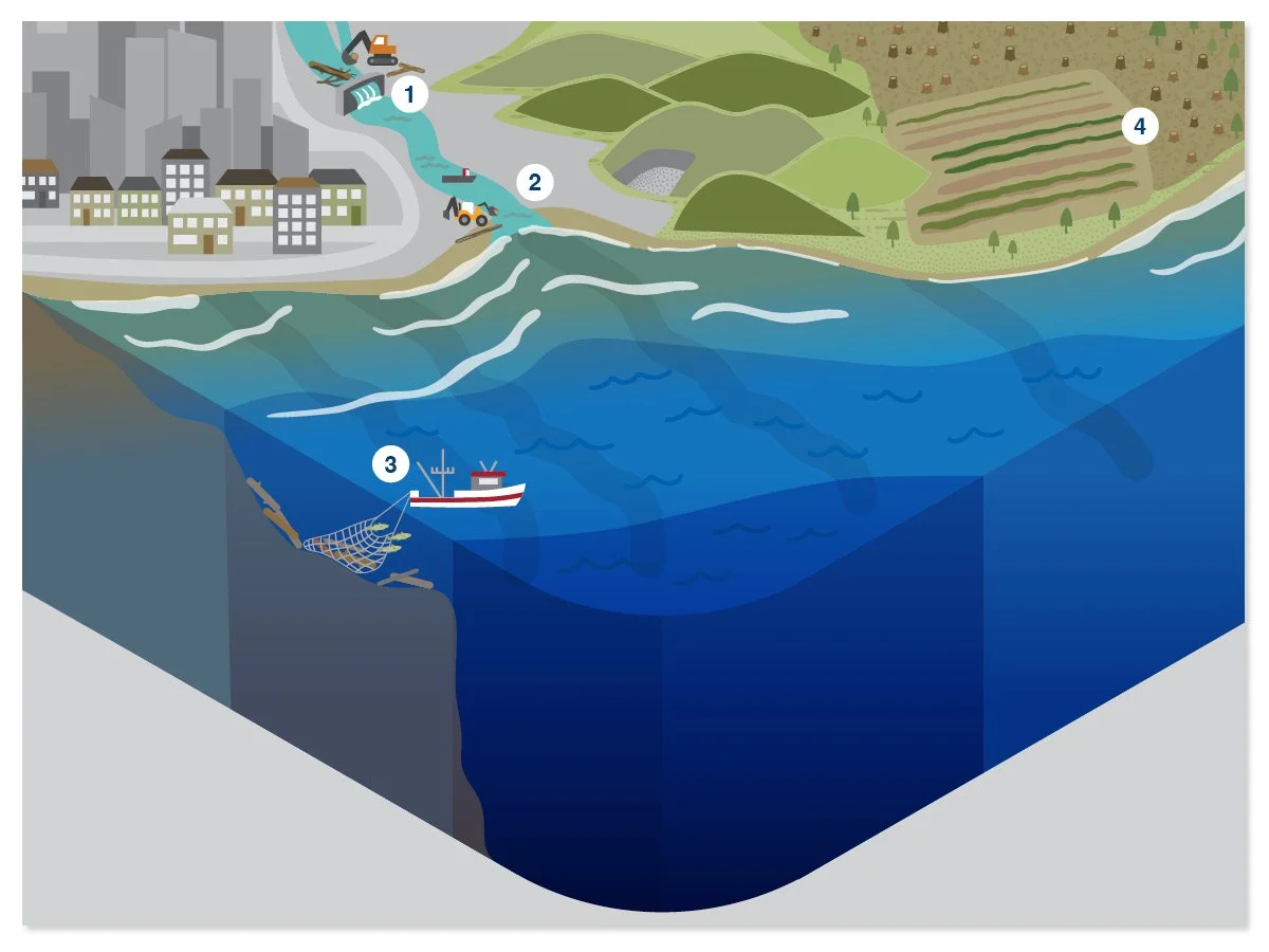 Illustrated diagram of land and ocean cross-section, featuring a cityscape, heavy machinery, fishing, logging and agriculture