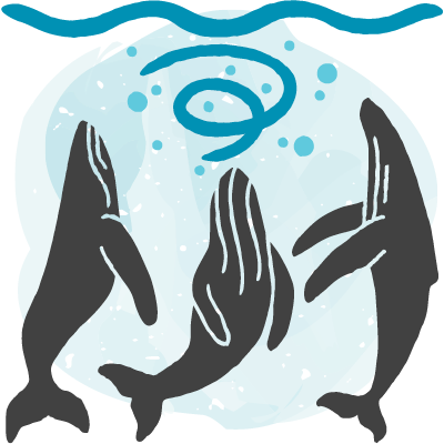 Bubble-net feeding icon, with three grey humpback whales swimming vertically to the water surface, swirling the blue water as they go. A blue watercolour blob is behind.
