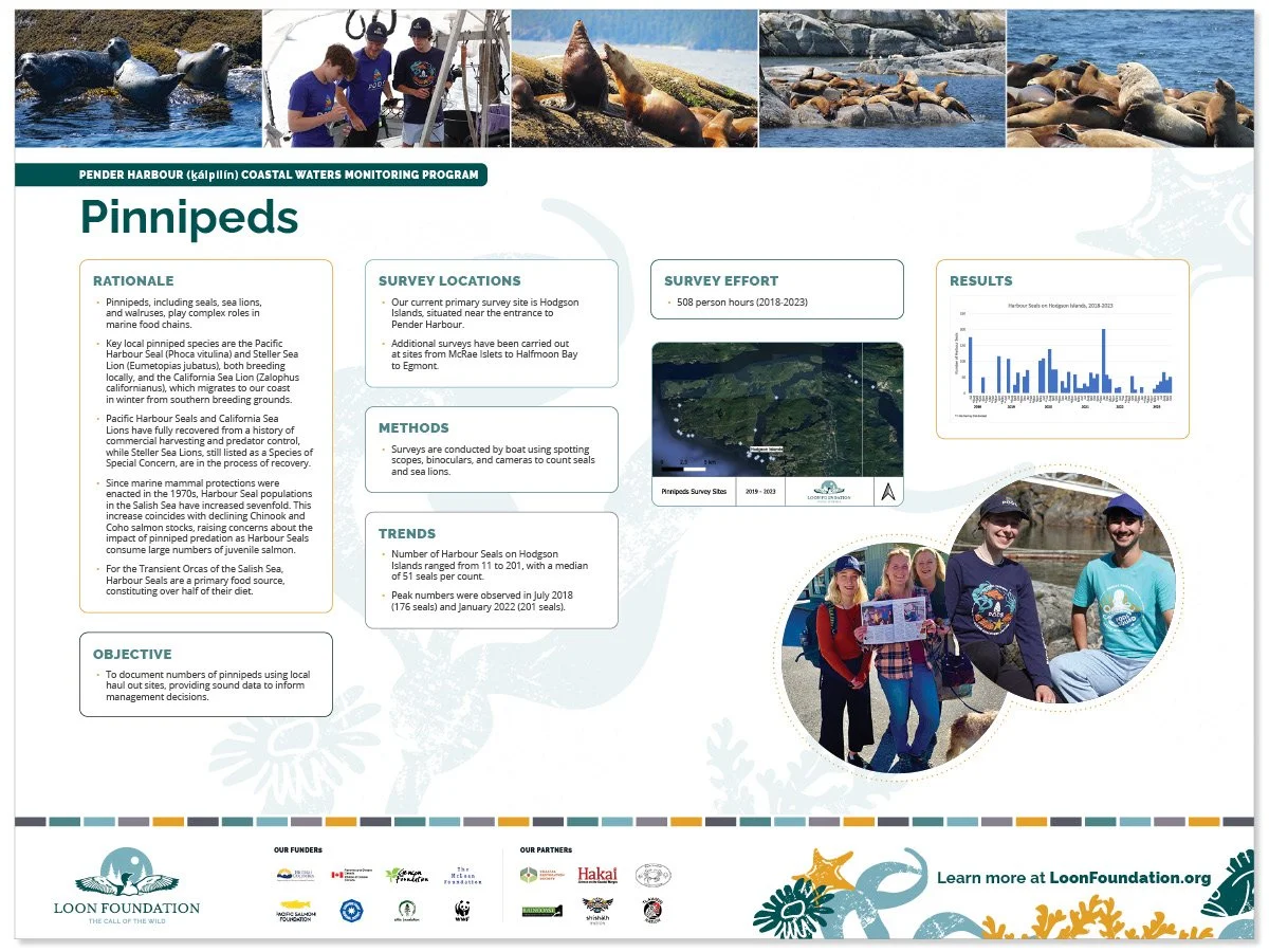 A rectangular symposium sign about pinnipeds, featuring monitoring and species photos along the top, research content in the middle, and sponsors and branded marine life illustrations along the bottom.