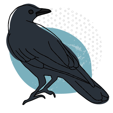 Flowy illustration of a black crow on an organic blue blob background