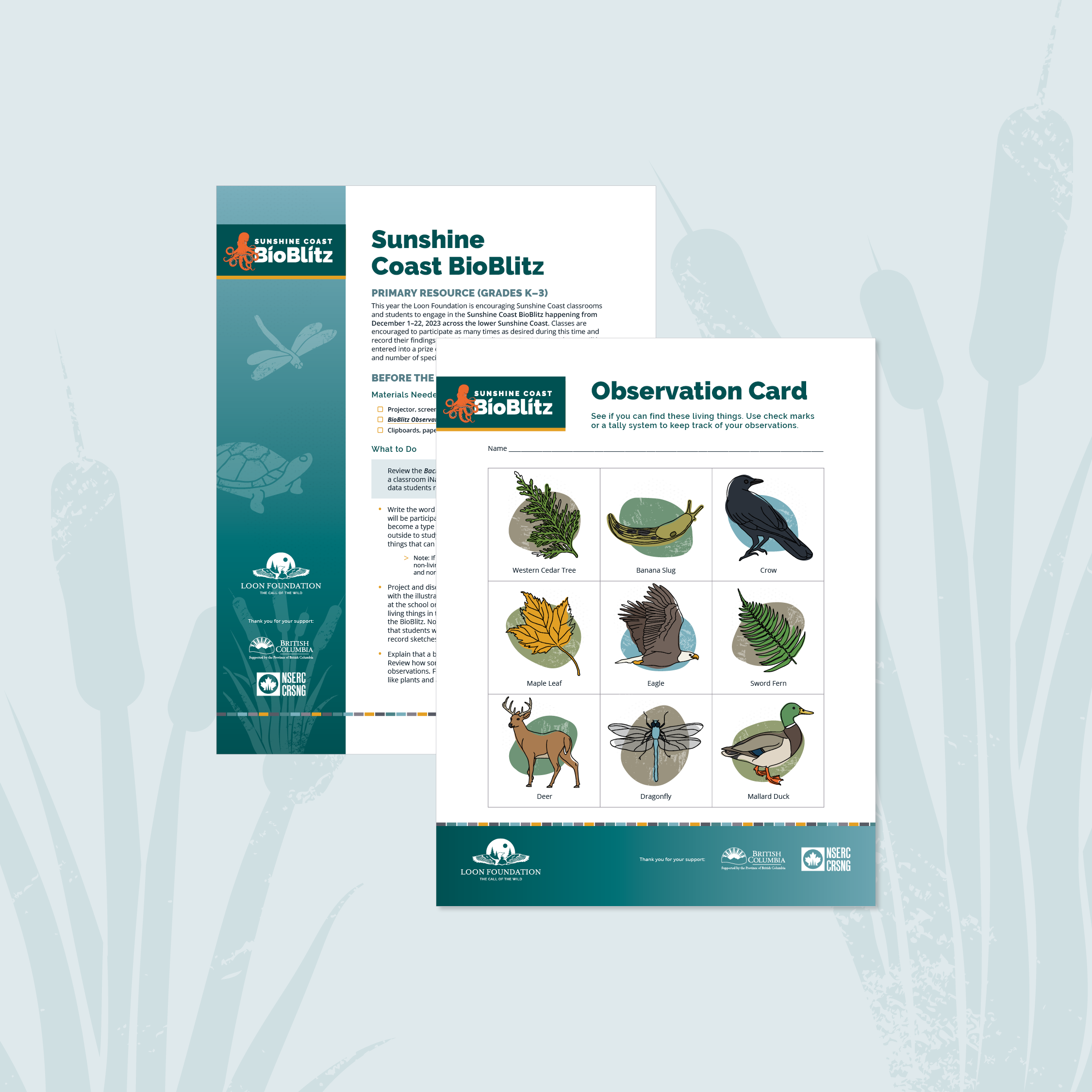 Sunshine Coast BioBlitz