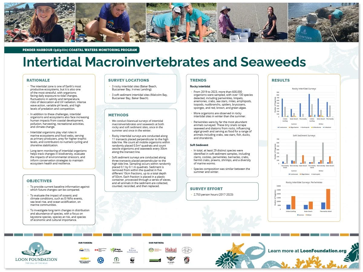 A rectangular symposium sign about intertidal macroinvertebrates and seaweeds, featuring monitoring photos along the top, research content in the middle, and sponsors and branded marine life illustrations along the bottom.